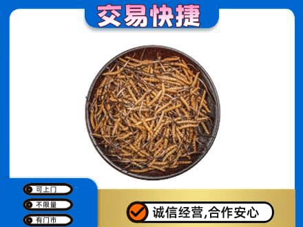 惠州高价回收散虫草